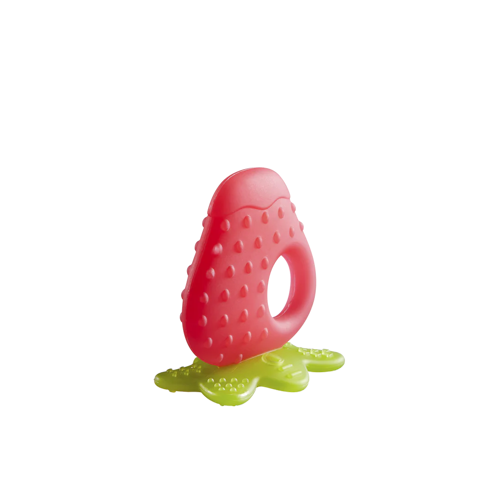 Fruit Teething Toy