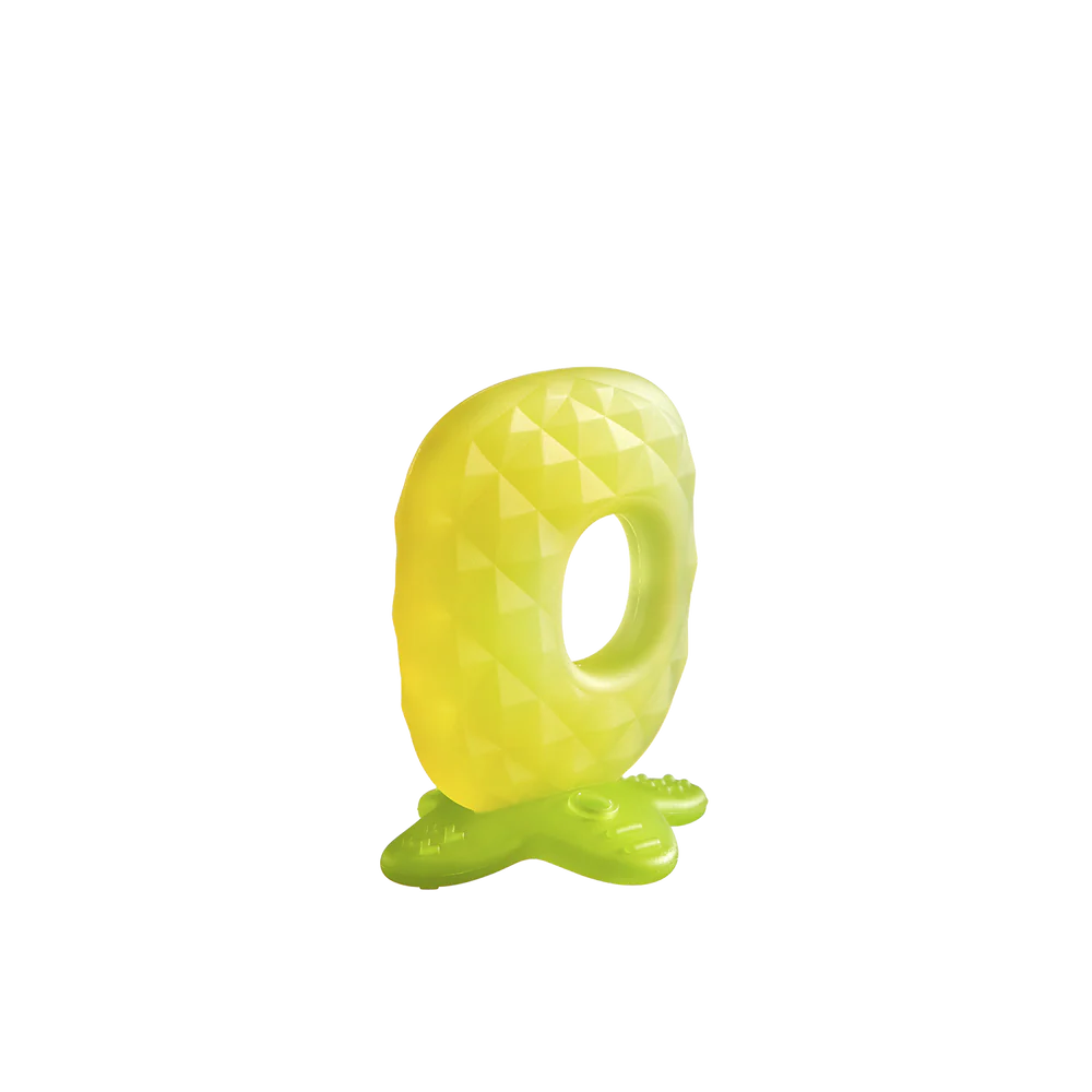 Fruit Teething Toy