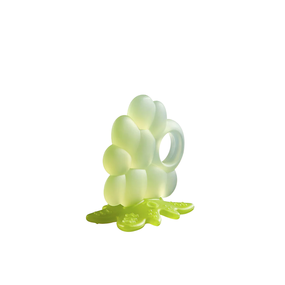 Fruit Teething Toy