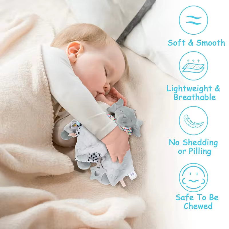 Personalized Baby Blanket with Teether