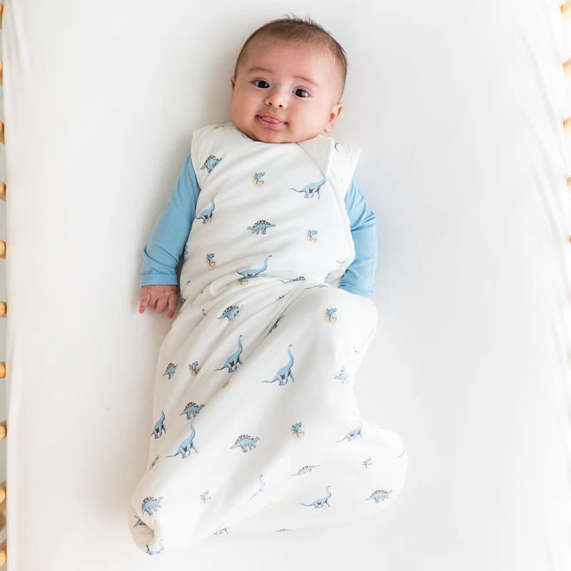 Minuvy Sleep Bag Jurassic