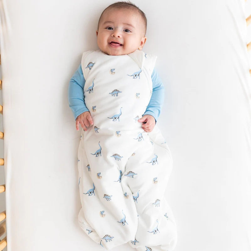 Minuvy Sleep Bag Jurassic